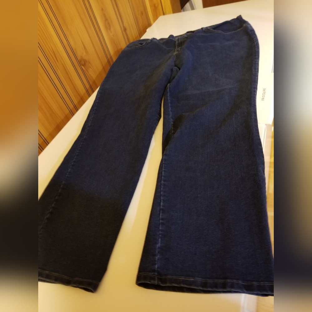 Riders by Lee Women's Straight Leg Jeans in Deep Indigo 24W Long